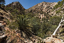 Standley Chasm View 2