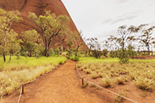 Uluru