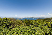 Hike 01 Gathering to begin the hike.