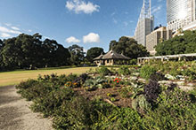 Botanical Gardens View 1