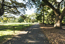 Botanical Gardens View 2