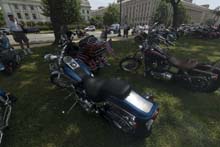 Motorcycles on the Grass