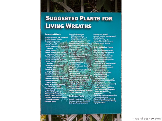36_Living_Wreath_Plants